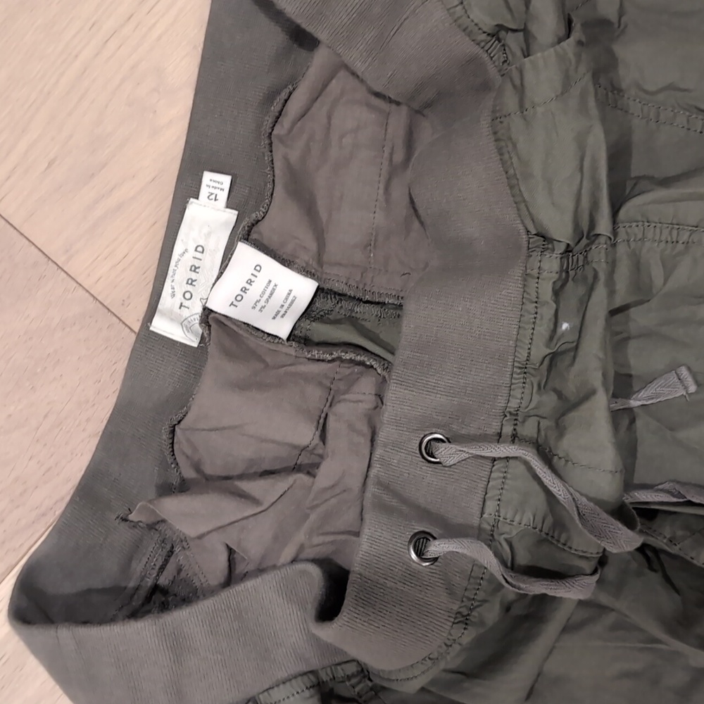 Torrid drawstring pants